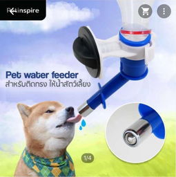 本周五采洽會來襲，泰國寵物衣架訂單引爆商機